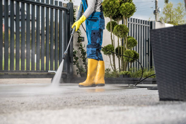 Best Gutter Cleaning  in Fairmont, IL